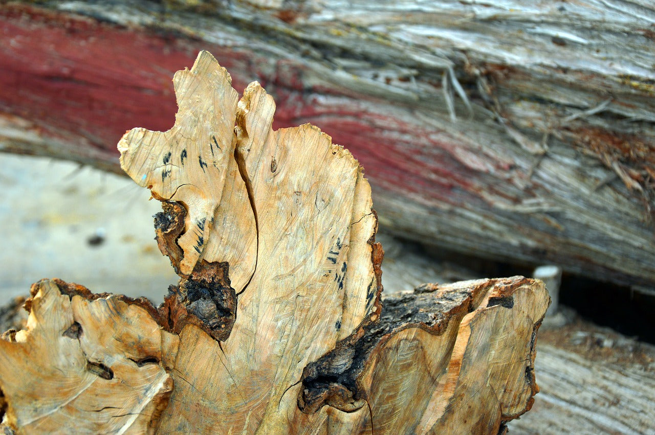 Schneidebretter aus Olivenholz